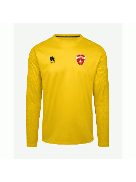 Patron Goalkeeper shirt Yellow